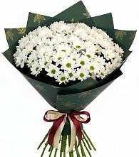 Букет цветов из:  Хризантемы #REPLACE_PRED# Харовске