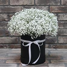 Цветочная композиция из Гипсофила в шляпной коробке в Харовске