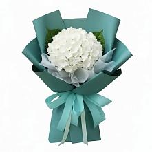 Букет цветов из:  Гортензия в Харовске